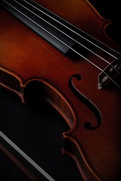 dunkle Geige von Thomas Heitz