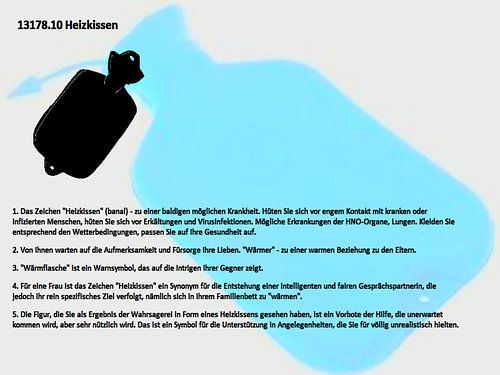 Verwarmingskussen 13178.10