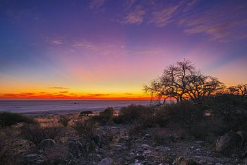 View over the salt flats at Kubu Island Botswana by Eddie Meijer