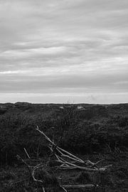 nüchterne Dünen von Stephan de Haas