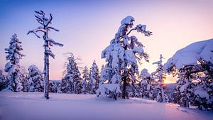 Sonnenuntergang im verschneiten Wald von Denis Feiner