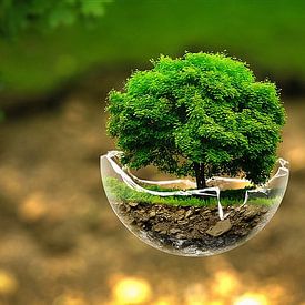 Mounir El mariami Profilfoto