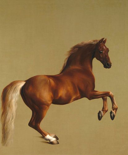 Whistlejacket, George Stubbs