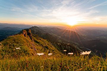 Coucher de soleil fleuri depuis le Hochgrat en direction du lac de Constance sur Leo Schindzielorz