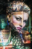The Peacock's Gaze