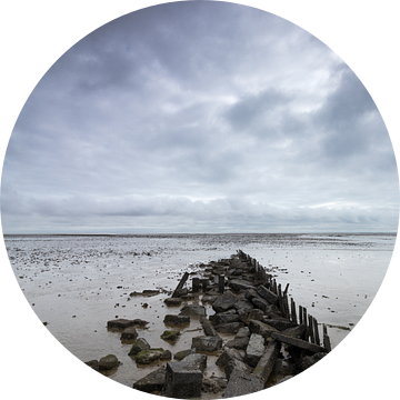 Wandel de waddenzee in. van Nicole van As