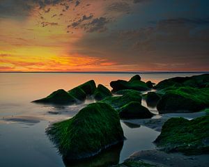 Les rochers sur la plage de Katwijk aan Zee sur Wim van Beelen