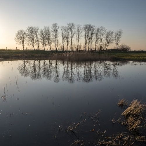 Vijver bij de Hertogswetering in Oss