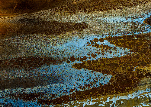 The river flows