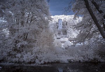 Loch Castle Ruin van Rainer Pickhard