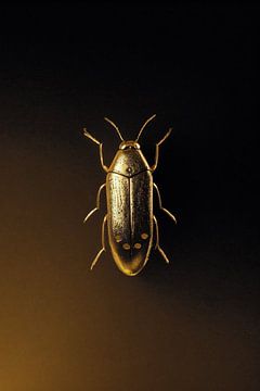 Beetle No.1 van SpaceCanvas