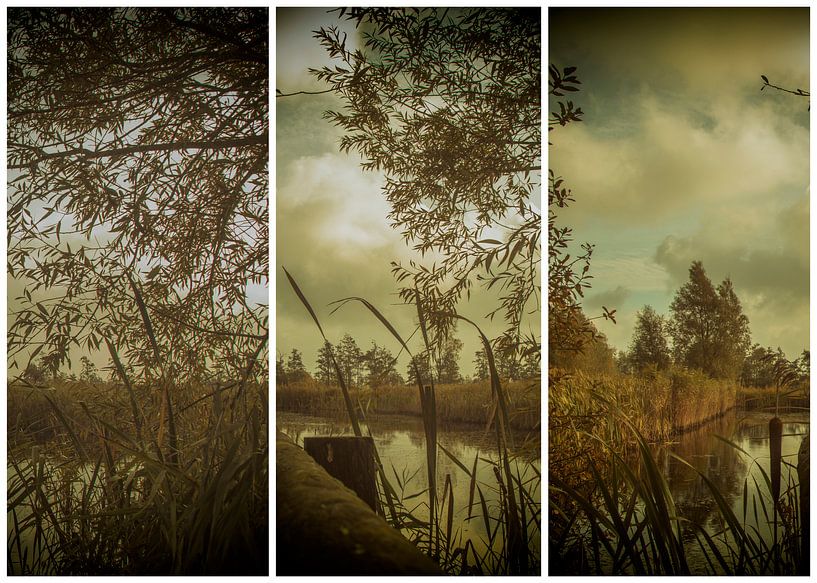 lauwersmeer triptych 6 by anne droogsma