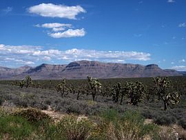 Landscape Grand Canyon by Marek Bednarek