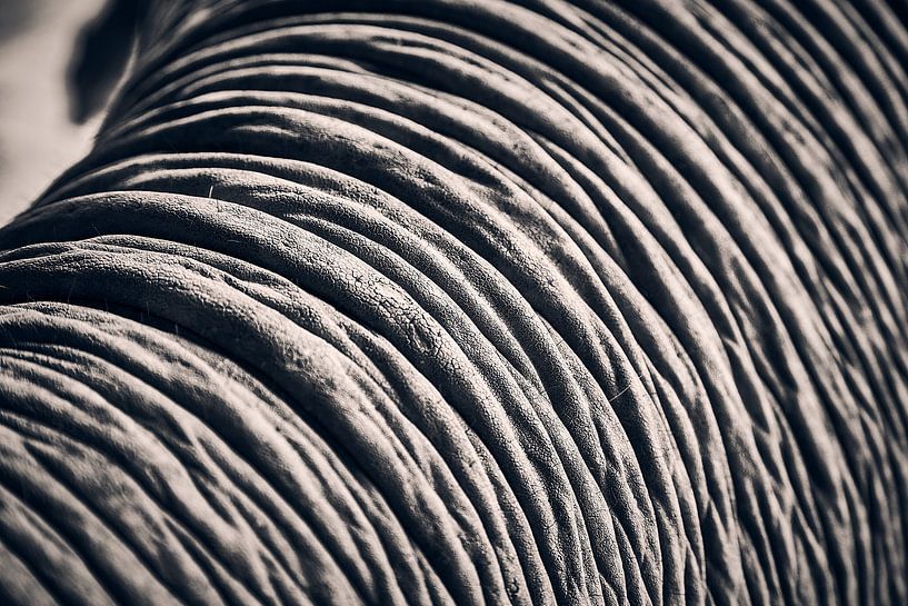 Abstrakte Textur von Graham Forrester