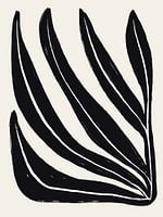Fern