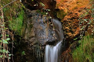 Rio Daro sur Cornelis (Cees) Cornelissen