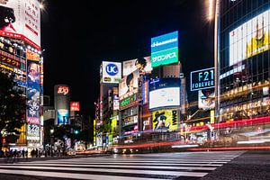Kreuzungen in Tokio von Celina Dorrestein