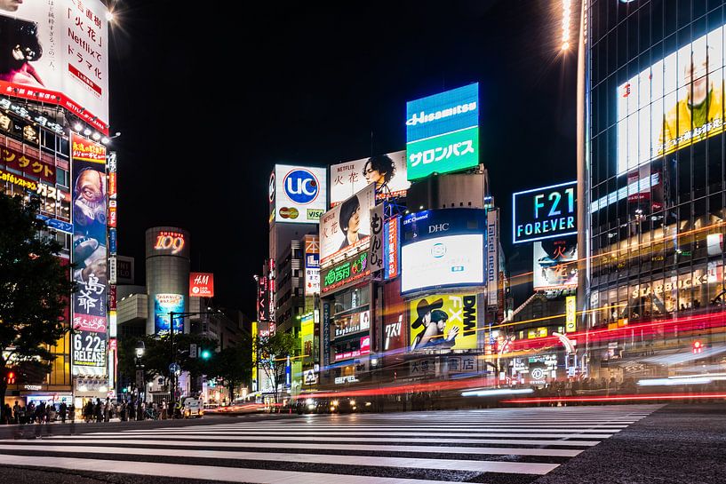 Kreuzungen in Tokio von Celina Dorrestein