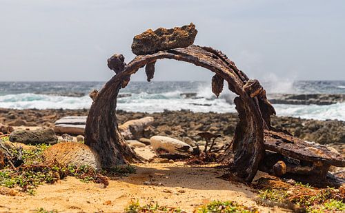 Macro fotografie - Scheepswrakken...