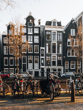 Amsterdam Herengracht van Lorena Cirstea