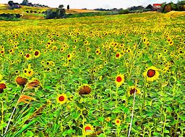 A Hillside of Sunflowers by Dorothy Berry-Lound