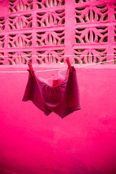 Roze Waslijn van Hazel Pasman