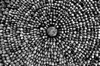 Cercles