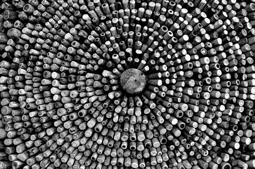 Cercles sur esther snoeck
