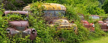 Rusty, overgrown vehicles somewhere in Idaho, United States