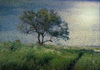 a tree for Vincent