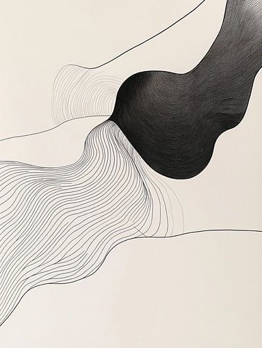 Art abstrait en noir et blanc : lignes organiques fluides