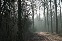Mist