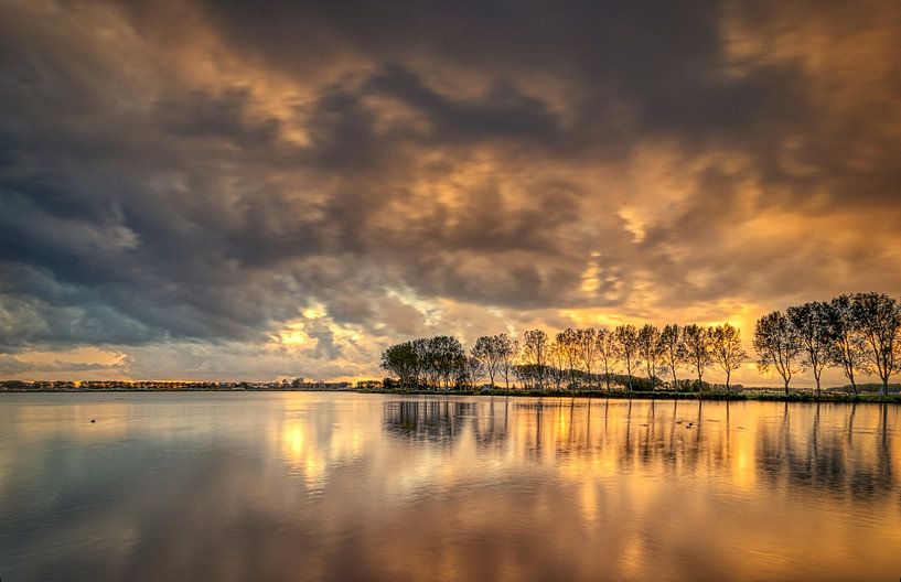 More from Dirkshorn #1 by peterheinspictures