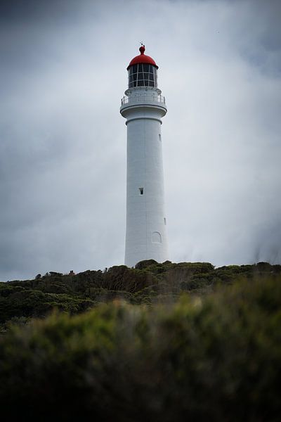 Vuurtoren Great Ocean Road | Lighthouse Great Ocean Road van Inge van Tilburg