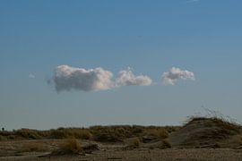 soft by Frenneke van Oers