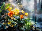 Wilde orchideeën van Max Steinwald thumbnail