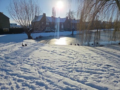 L'hiver aux Pays-Bas (Nootdorp)