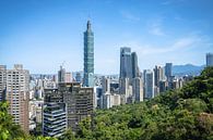 View of Taiwan and Taipei 101, the country's tallest building towering over the skyline by Mickéle Godderis thumbnail