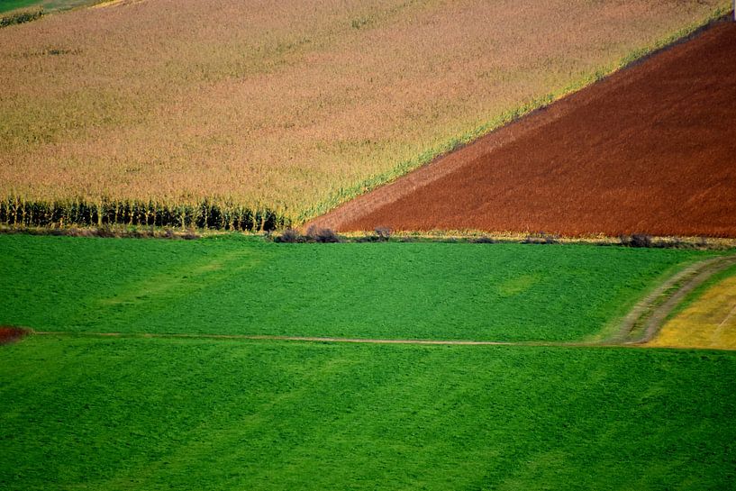 Felder im Herbst von Claude Laprise
