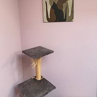 Photo de nos clients: Les Chats par Mirjam Duizendstra, sur toile