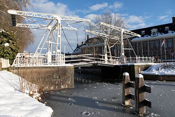 Abel Tasmanbrug over de Leidsche rijn in Utrecht in de winter