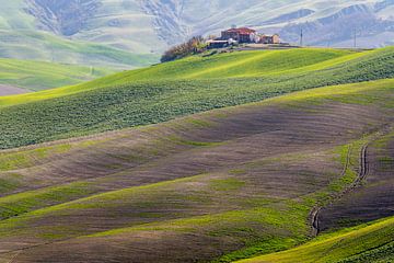 Toscaanse landbouw van Guy Lambrechts