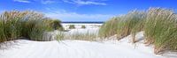 Perfecte strand dag