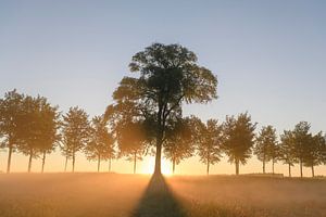 Early morning sunrise during a beautiful springtime day over the Zwartendijk near Kampen