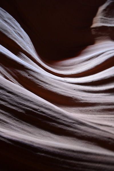 Shapes von Wessel Smit