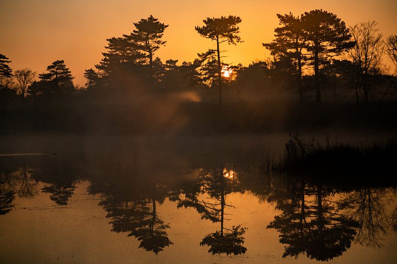 Nebliger Sonnenaufgang von Marjolein van Roosmalen