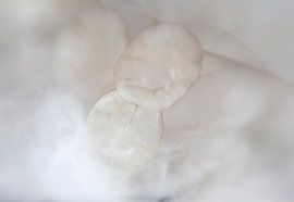 Judaspenning sur Sam Dijkstra