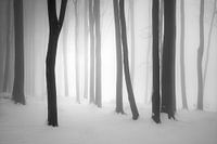 Black and White