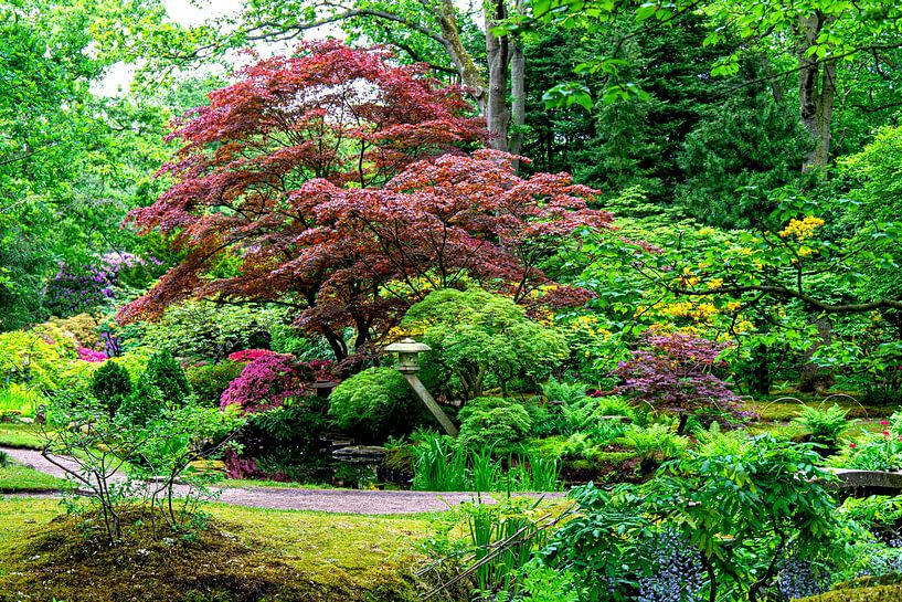 Japanischer Garten (3) von Marly De Kok