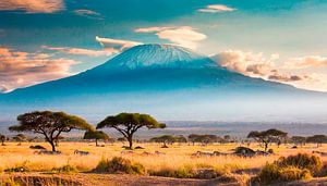 Kilimanjaro in Afrika van Mustafa Kurnaz